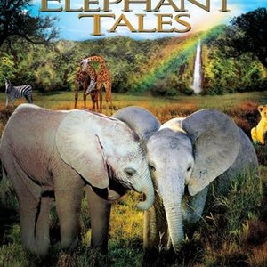 Elephant Tales photo 7