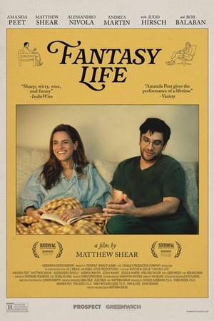 Fantasy Life poster