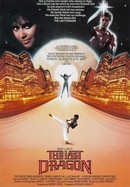 The Last Dragon poster image