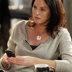 CSI: Crime Scene Investigation, Jorja Fox, 'Willows In The Wind', Season 12, Ep. #12, 01/25/2012, ©CBS