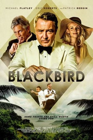 Blackbird poster