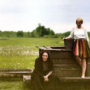 The Birch Wood (1972) photo 1