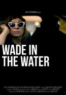 Wade in the Water poster image