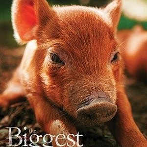 The Biggest Little Farm (2018) - IMDb