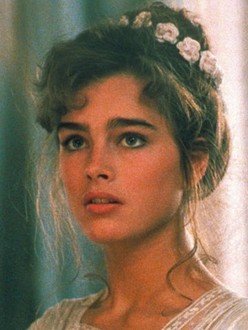 Endless Love Movie 1981 Endless Love 1981 Enchiladas DVD