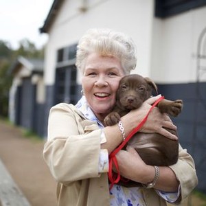 Koko: A Red Dog Story photo 2