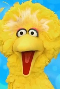 Sesame Street: Season 36, Episode 22 | Rotten Tomatoes