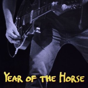 Year of the Horse (1997) photo 10