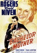Bachelor Mother poster image
