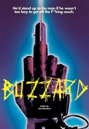 Buzzard poster image