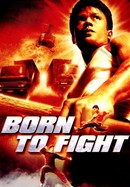 Born to Fight poster image