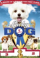 Lucky Dog poster image