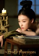 The Rise of Phoenixes poster image