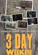 3 Day Weekend poster image