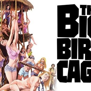 the big bird cage