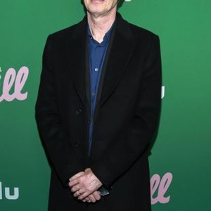 Steve Buscemi at arrivals for HULU New Comedy SHRILL Series Premiere, The Walter Reade Theater, New York, NY March 13, 2019. Photo By: Jason Mendez/Everett Collection