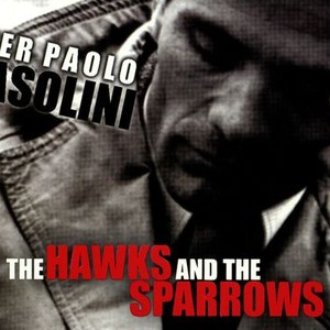 The Hawks and the Sparrows photo 1