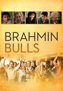 Brahmin Bulls poster image