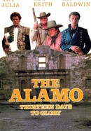 The Alamo: 13 Days to Glory poster image