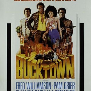 Bucktown (1975) photo 1