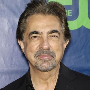 Joe Mantegna at arrivals for The TCA Television Critics Association Annual Summer Soiree, Pacific Design Center, Los Angeles, CA July 17, 2014. Photo By: Michael Germana/Everett Collection