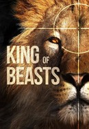 King of Beasts poster image