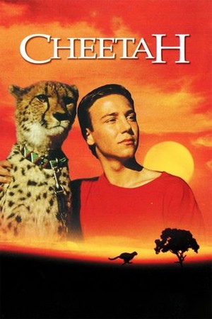 Cheetah poster