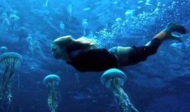 The Shallows: Official Clip - Jellyfish Swim photo 9