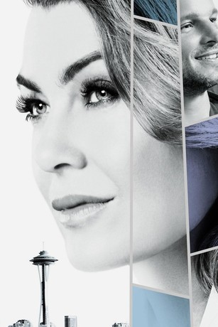 123movies greys top anatomy season 14