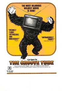 The Groove Tube Movie Poster Print (27 x 40) - Item # MOVAH4745 - Posterazzi