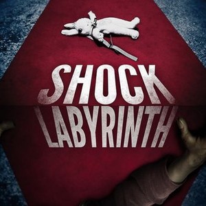 The Shock Labyrinth photo 5