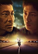 Lost and Love poster image