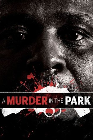 A Murder in the Park poster