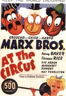 At the Circus poster image
