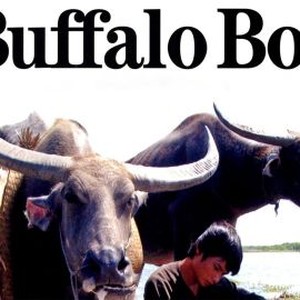 The Buffalo Boy photo 4