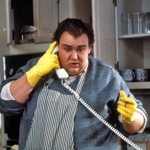 Uncle Buck (1989) photo 1