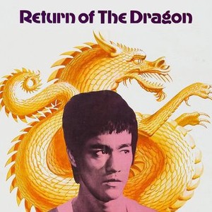 Firedrake the Silver Dragon - Rotten Tomatoes