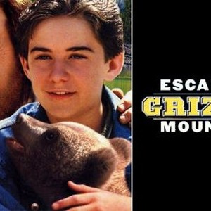Escape to Grizzly Mountain photo 8