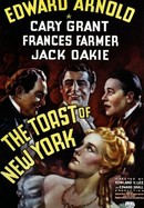 The Toast of New York poster image