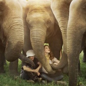 Love & Bananas: An Elephant Story photo 18