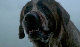 Cujo: Official Clip - What's the Matter?