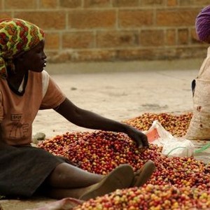 Poverty, Inc. photo 13