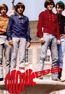 The Monkees poster image