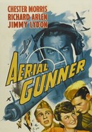 Aerial Gunner poster image