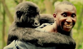 Virunga: "Consider This" Trailer photo 1