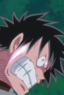 One Piece Season 19 Episode 16 Rotten Tomatoes One Piece Season 19 Episode 16 Rotten Tomatoes