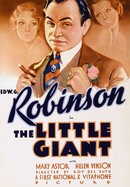 The Little Giant poster image