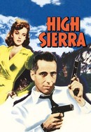 High Sierra poster image