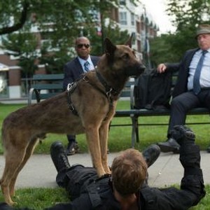 Max 2: White House Hero - Rotten Tomatoes