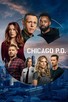 Poster for